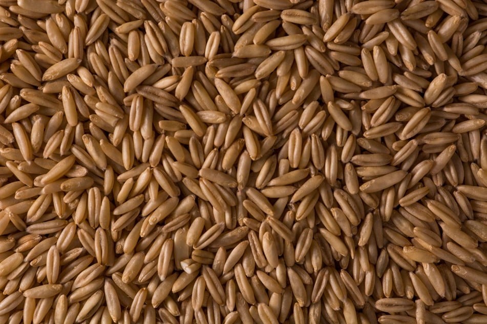 malt-concentrate